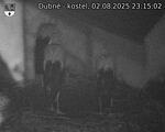 Capi_Dubne_20250802_231502.jpg