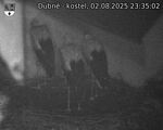 Capi_Dubne_20250802_233502.jpg