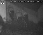 Capi_Dubne_20250802_234003.jpg
