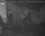 Capi_Dubne_20250802_235003.jpg