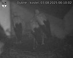 Capi_Dubne_20250803_001002.jpg