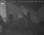 Capi_Dubne_20250803_001503.jpg