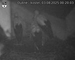 Capi_Dubne_20250803_002003.jpg