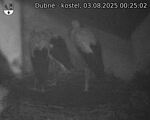 Capi_Dubne_20250803_002502.jpg