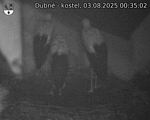 Capi_Dubne_20250803_003502.jpg