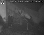 Capi_Dubne_20250803_004003.jpg
