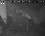 Capi_Dubne_20250803_004502.jpg