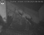 Capi_Dubne_20250803_005002.jpg