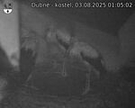 Capi_Dubne_20250803_010503.jpg