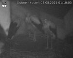 Capi_Dubne_20250803_011003.jpg