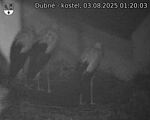 Capi_Dubne_20250803_012003.jpg