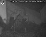 Capi_Dubne_20250803_012503.jpg