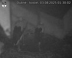 Capi_Dubne_20250803_013002.jpg