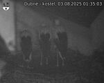 Capi_Dubne_20250803_013503.jpg