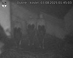 Capi_Dubne_20250803_014503.jpg