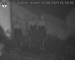 Capi_Dubne_20250803_015003.jpg