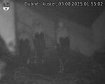 Capi_Dubne_20250803_015502.jpg