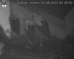 Capi_Dubne_20250803_022002.jpg