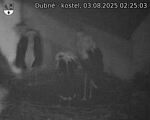 Capi_Dubne_20250803_022503.jpg