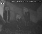 Capi_Dubne_20250803_023503.jpg