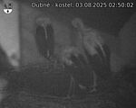 Capi_Dubne_20250803_025002.jpg