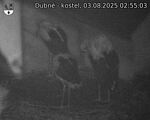Capi_Dubne_20250803_025503.jpg