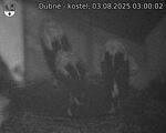 Capi_Dubne_20250803_030002.jpg