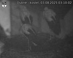 Capi_Dubne_20250803_031002.jpg