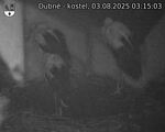 Capi_Dubne_20250803_031503.jpg