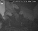 Capi_Dubne_20250803_032503.jpg