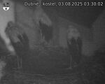 Capi_Dubne_20250803_033002.jpg