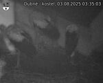 Capi_Dubne_20250803_033503.jpg