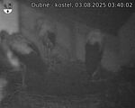 Capi_Dubne_20250803_034002.jpg