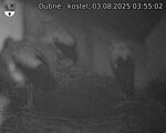 Capi_Dubne_20250803_035502.jpg