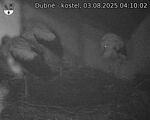 Capi_Dubne_20250803_041002.jpg