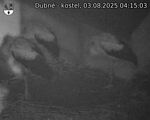 Capi_Dubne_20250803_041503.jpg