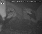 Capi_Dubne_20250803_042503.jpg