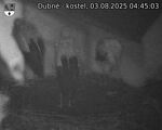 Capi_Dubne_20250803_044503.jpg