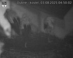 Capi_Dubne_20250803_045002.jpg
