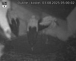 Capi_Dubne_20250803_050003.jpg