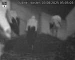 Capi_Dubne_20250803_050503.jpg