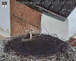 Capi_Dubne_20250803_083503.jpg