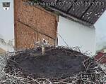 Capi_Dubne_20250803_092003.jpg
