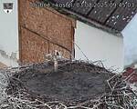 Capi_Dubne_20250803_094503.jpg