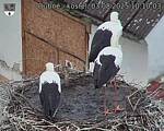 Capi_Dubne_20250803_101003.jpg
