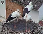 Capi_Dubne_20250803_101503.jpg