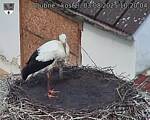 Capi_Dubne_20250803_102004.jpg