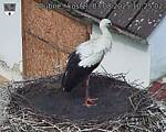 Capi_Dubne_20250803_102502.jpg