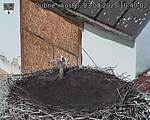Capi_Dubne_20250803_104002.jpg