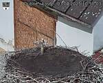 Capi_Dubne_20250803_105003.jpg
